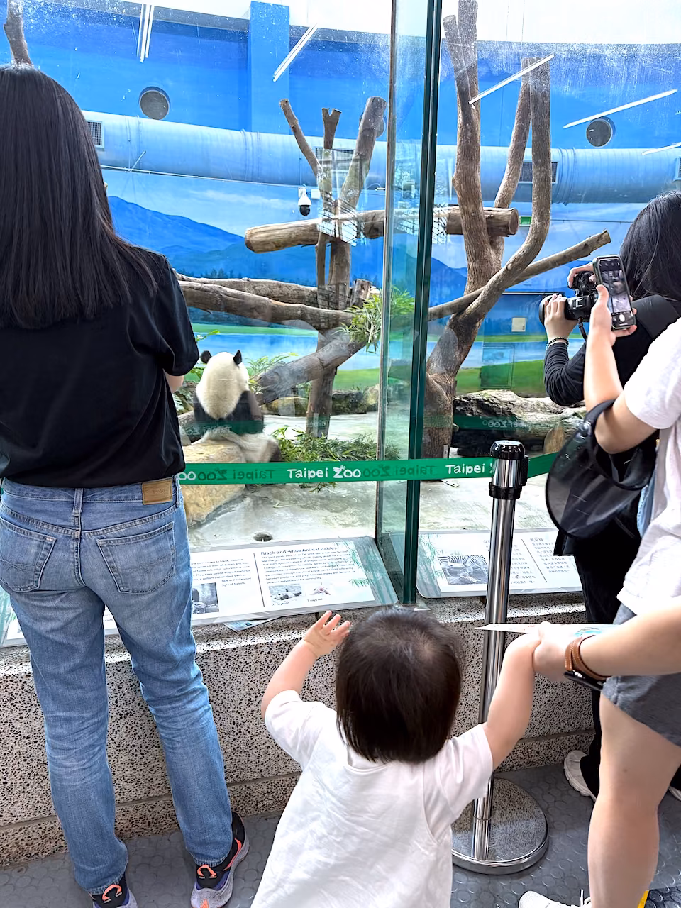 初めて本物のパンダに出会い、すっかり夢中なアレクサンドラ。