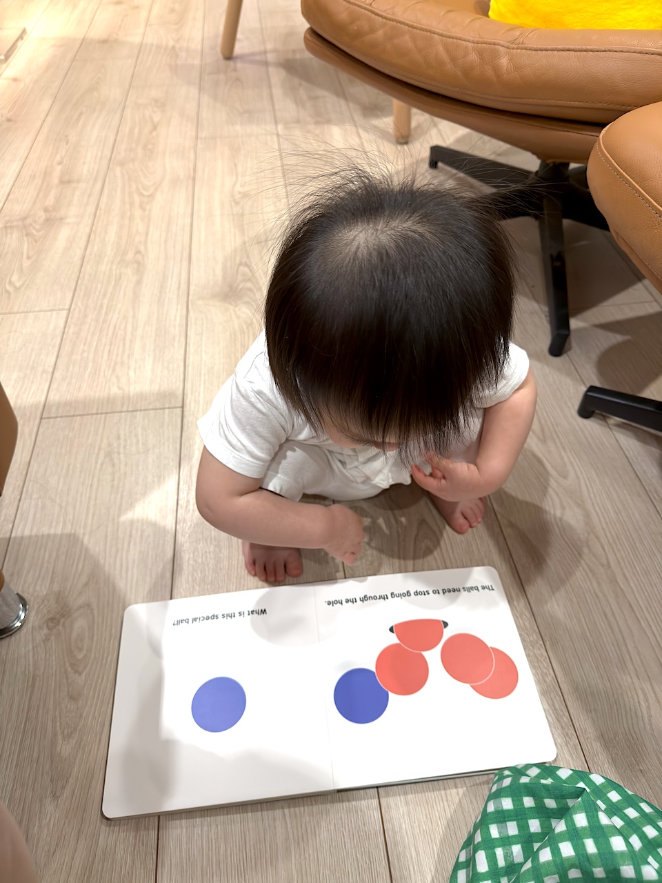 集中して読み聞かせに夢中 — すべての点と色に意味がある